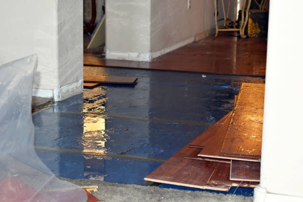 Professional Sewage Cleanup technician working in Kerens, TX